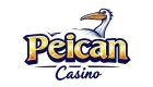 Logo pelican-play.photographerswithdisabilities.org
